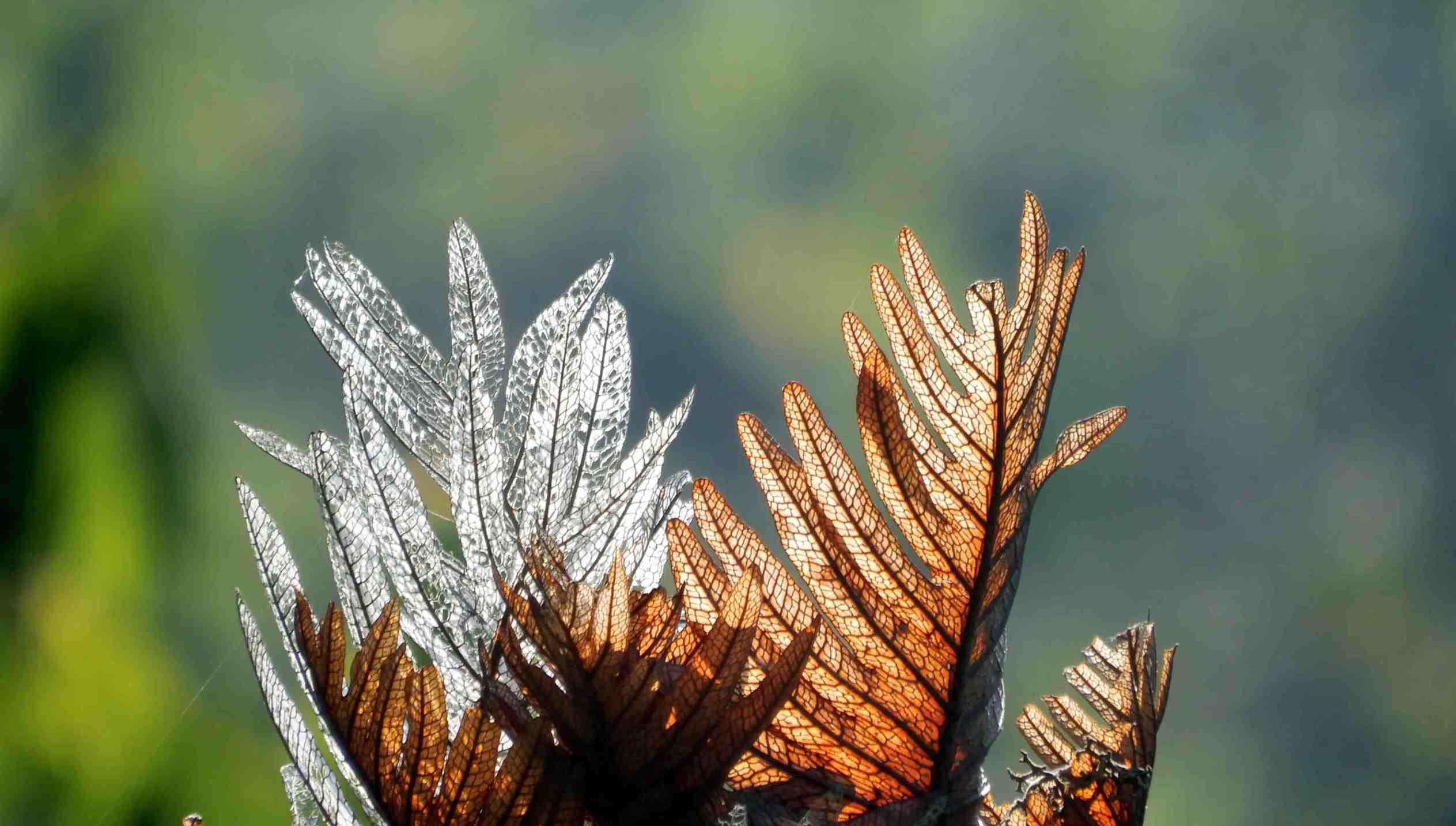 Researcher writing manuscript with climate data charts
